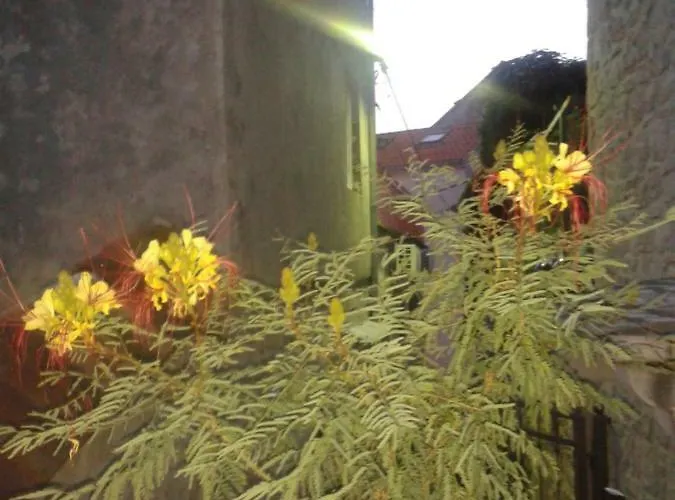 Karla Διαμέρισμα